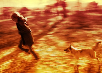 A Brush With Nostalgia And Laughing Dogs